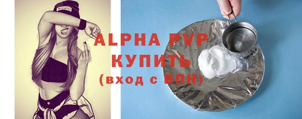 СК Новодвинск