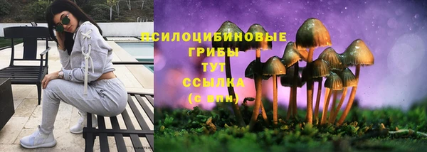 скорость Алзамай