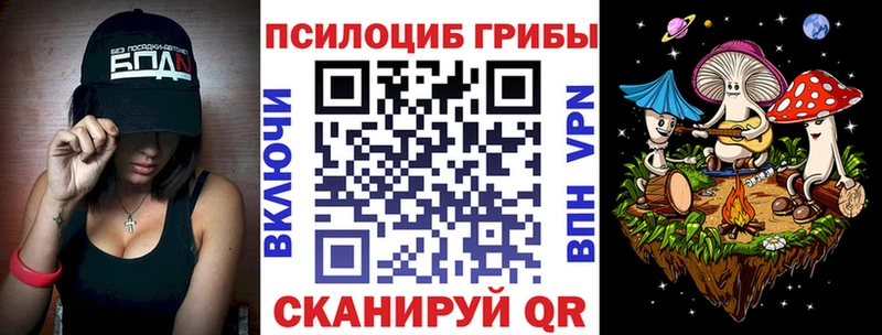 Галлюциногенные грибы Psilocybine cubensis  где купить наркоту  Суоярви 